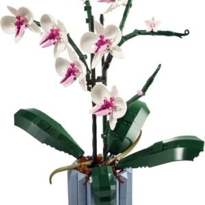 Orchidea