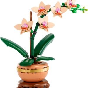 Mini orchidea