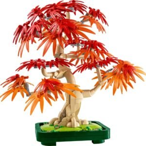 Vöröslevelű japán juhar bonsai