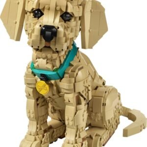 Golden retriever kutyus