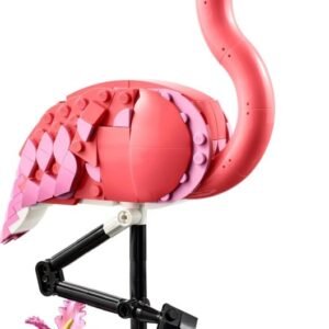 Vadállatok: rózsaszín flamingó