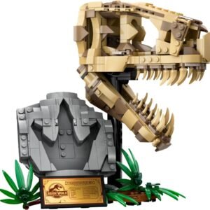Dinoszaurusz maradványok: T-Rex koponya