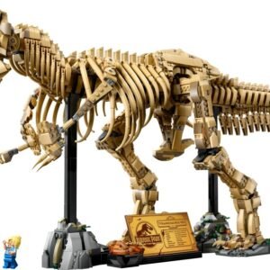 Dinoszaurusz maradványok: Tyrannosaurus rex