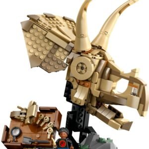 Dinómaradványok: Triceratops-koponya